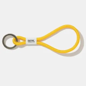 Pantone Short Key Chain