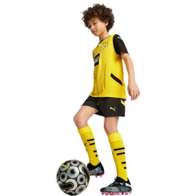 Puma Borrusia Dortmund Thuis Tenue Kids