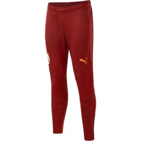 Puma Galatasaray Training Pant 2024/2025