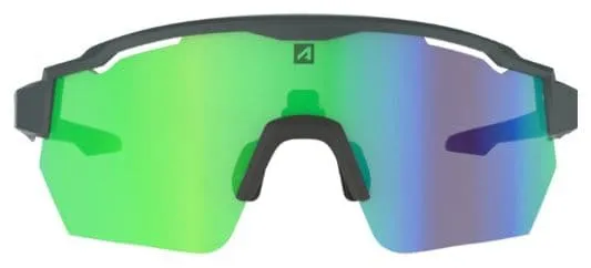 Race RX Carbon Matte/Black Goggles / Green Hydrophobic Lens