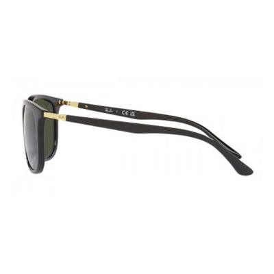 Ray-Ban RB4386 Sunglasses